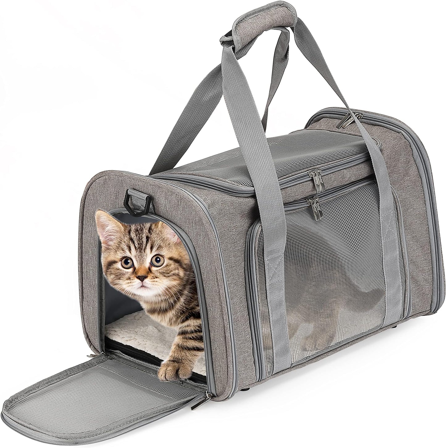 Mr. Pen- Pet Carrier, 17.5" x 11.2" x 11.5", Mediu - Best Seller