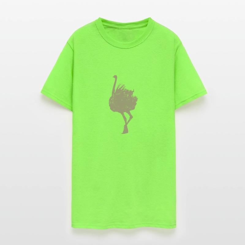 Ostrich Africa Ratite