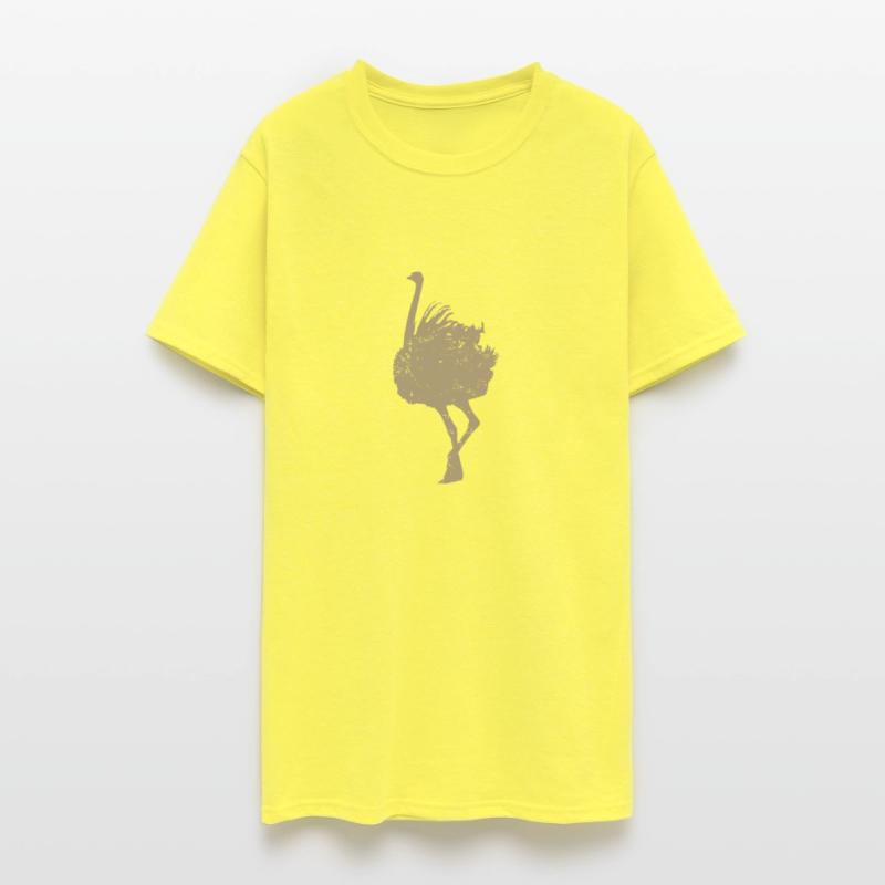 Ostrich Africa Ratite