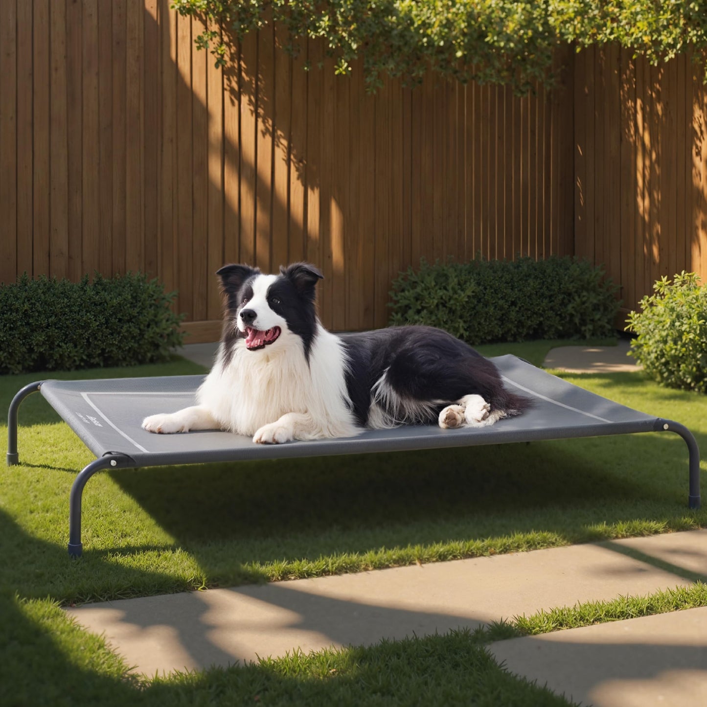 Outdoor Elevated Dog Bed Large Sized Dog, Portable - Premium Quality