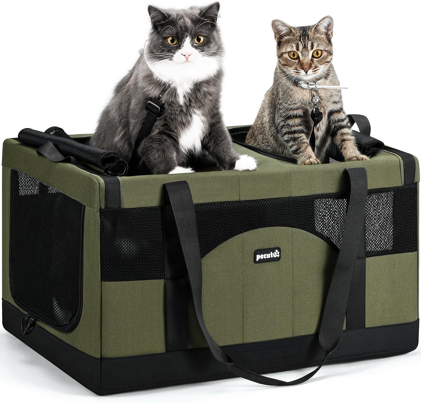 Pecute Dual Compartment Pet Carrier for Multi-Cat  - Best Seller