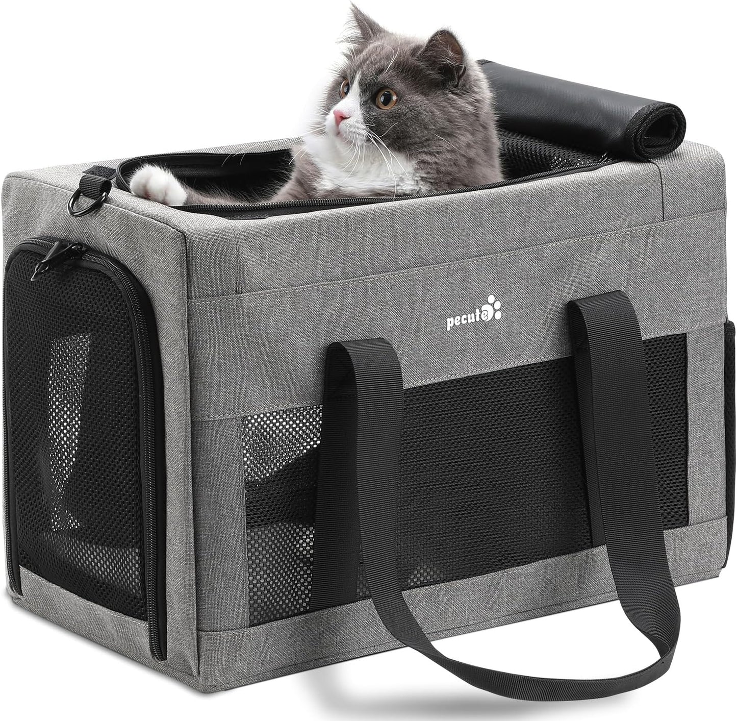 - Pecute Pet Carrier, Cat Carrier Bag, Hand-held C - Latest Style