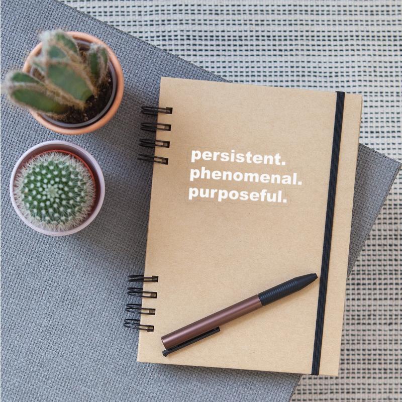 Persistent Phenomenal Purposeful