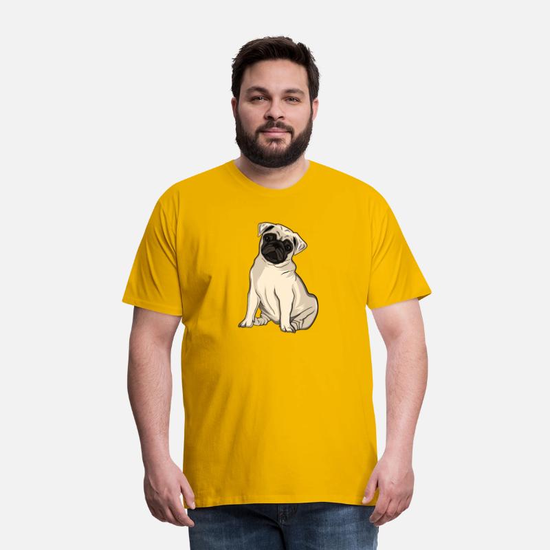 Pug Dog Animal