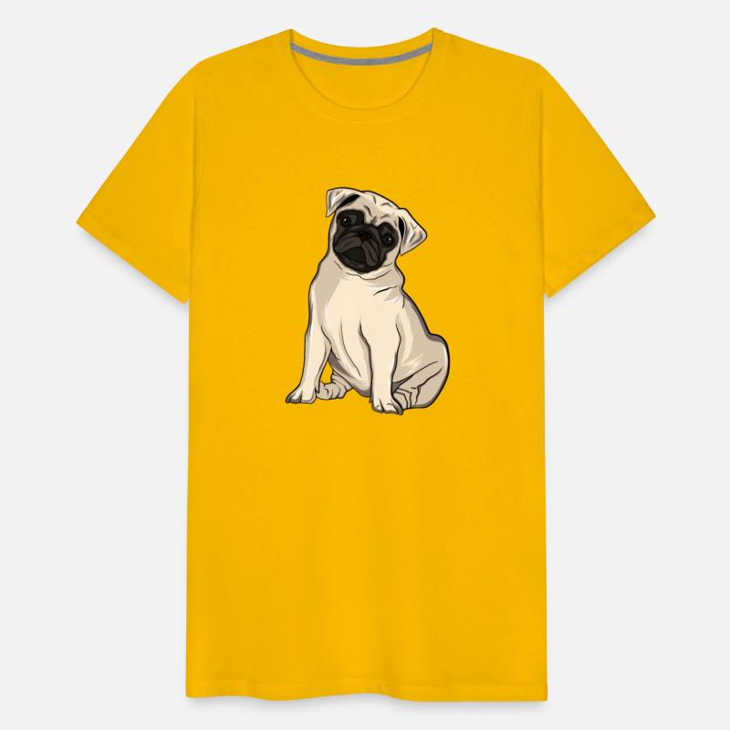Pug Dog Animal