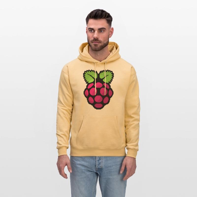 Raspberry Pi Pixel Logo
