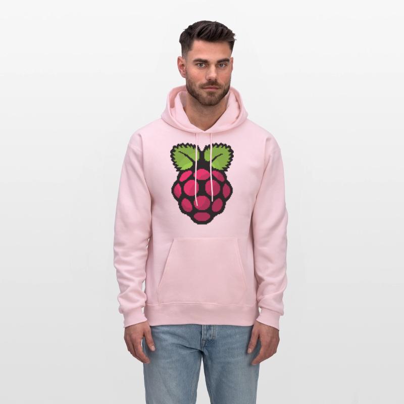 Raspberry Pi Pixel Logo