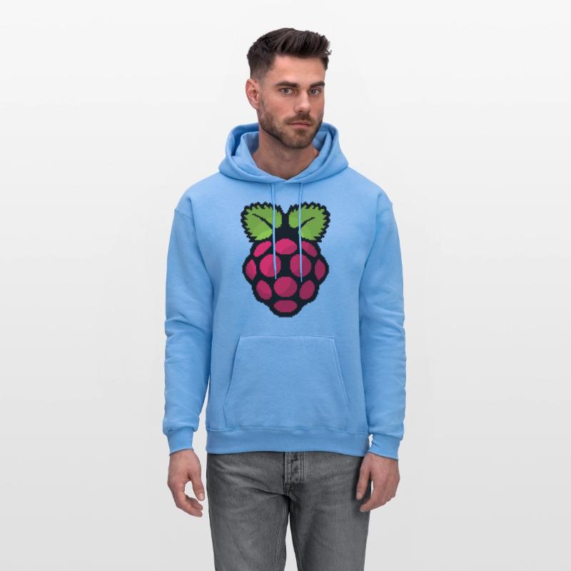 Raspberry Pi Pixel Logo