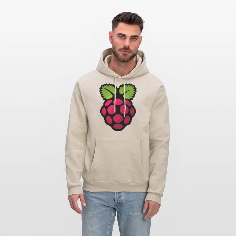 Raspberry Pi Pixel Logo