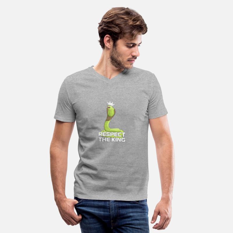 snakes chameleons geckos reptiles frogs turtles