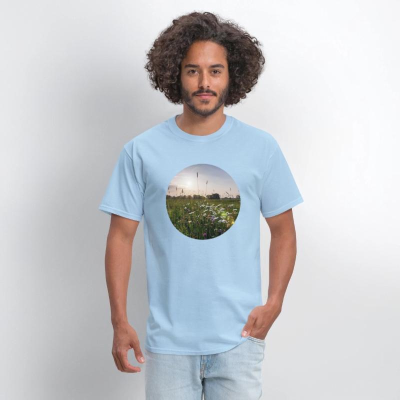 Sunny natural landscape with flowers