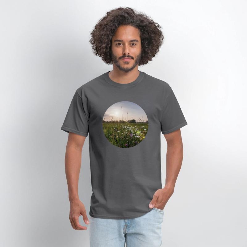 Sunny natural landscape with flowers