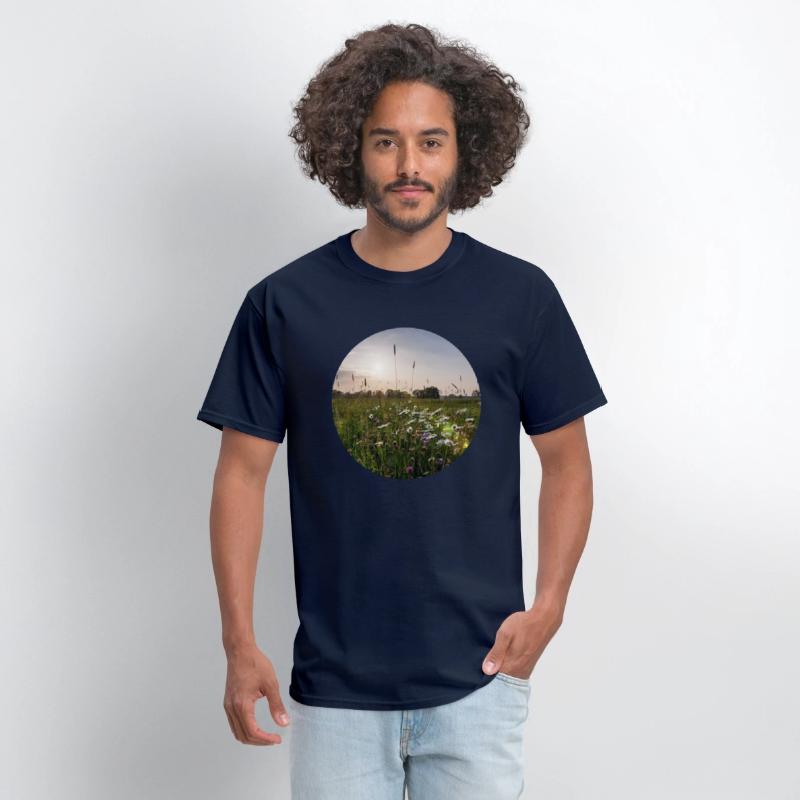 Sunny natural landscape with flowers