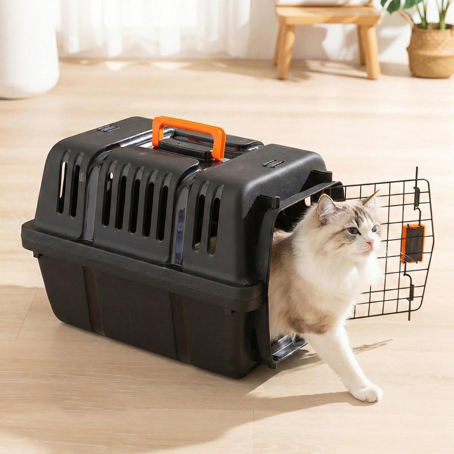 - Tapi Panda Pet Carrier Crate for Dogs and Cats,  - Best Seller