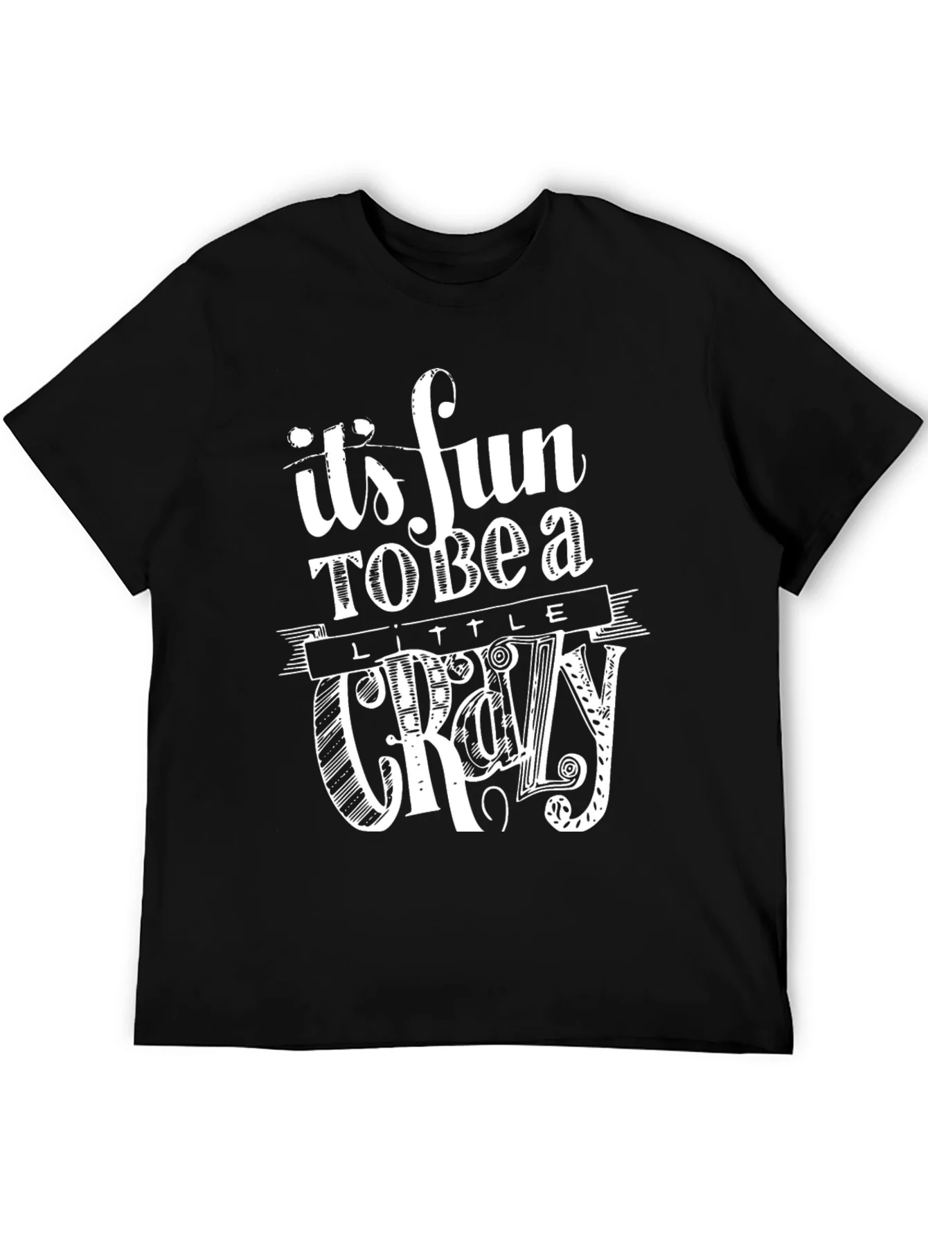 Its Fun to Be a Little Crazy Graphic T-Shirt