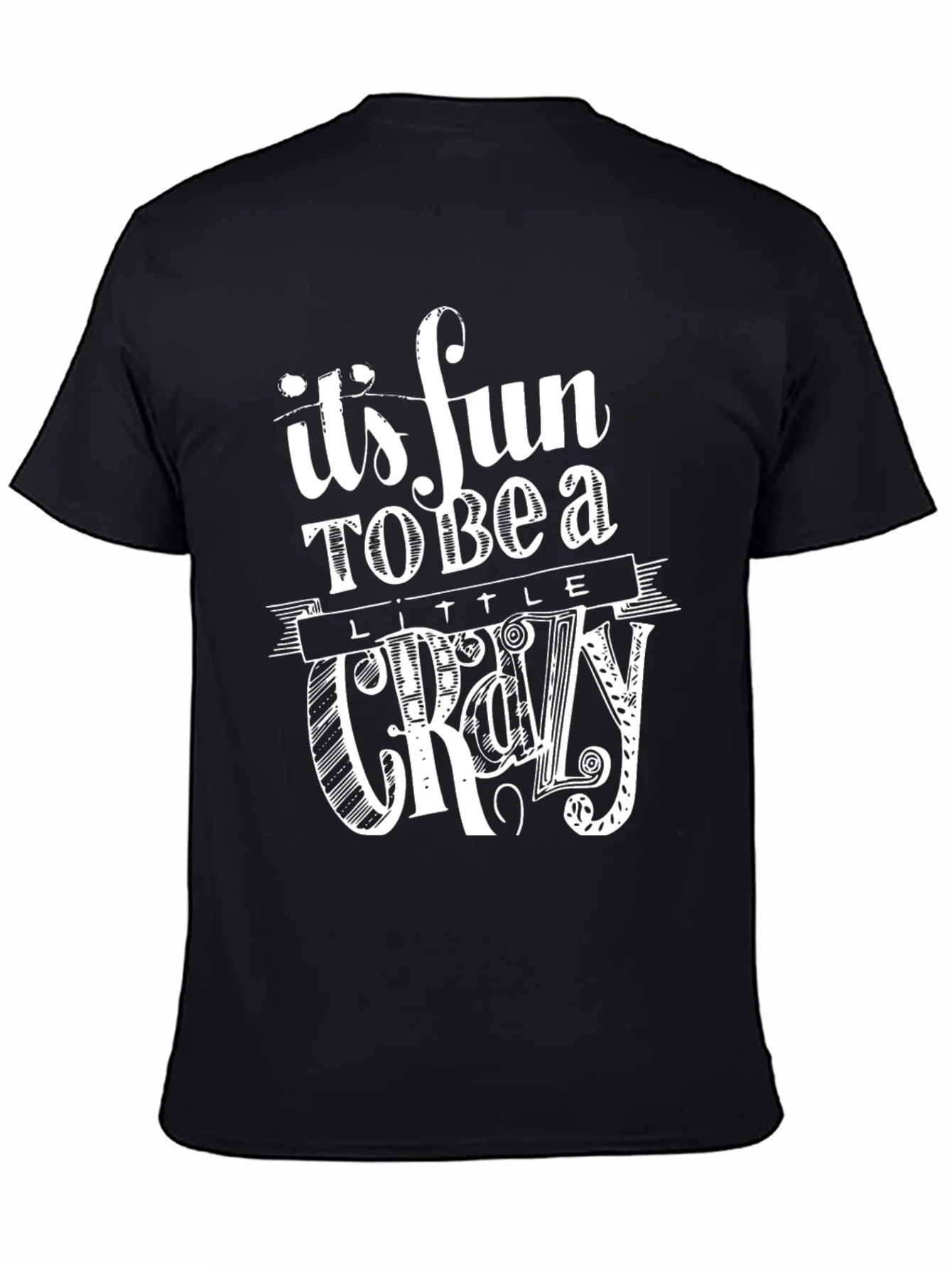Its Fun to Be a Little Crazy Graphic T-Shirt
