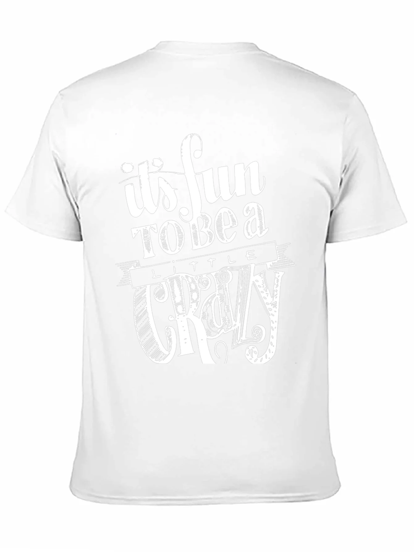Its Fun to Be a Little Crazy Graphic T-Shirt