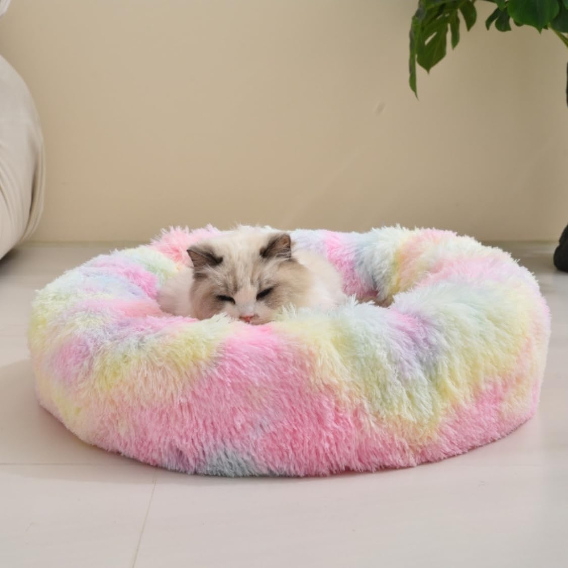 ZEXSAZONE Summer Small Cat Bed Donut Shape for Kit - Best Seller