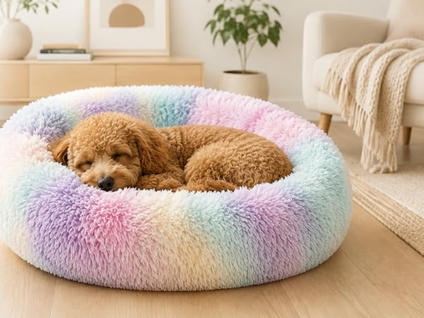 ZEXSAZONE Summer Small Cat Bed Donut Shape for Kit - Best Seller